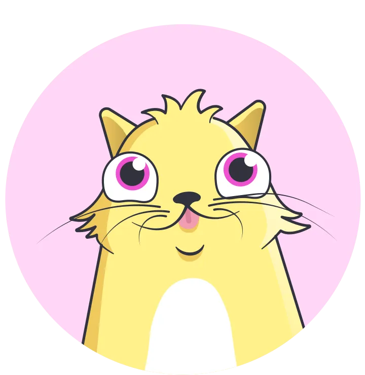 kitty eth