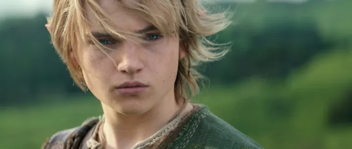 Link