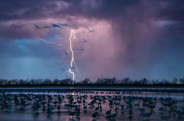 \u00a9 National Geographic. Photo by Randy Olson.