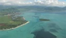 mobiele-live-search-krijgt-bird-eye.jpg