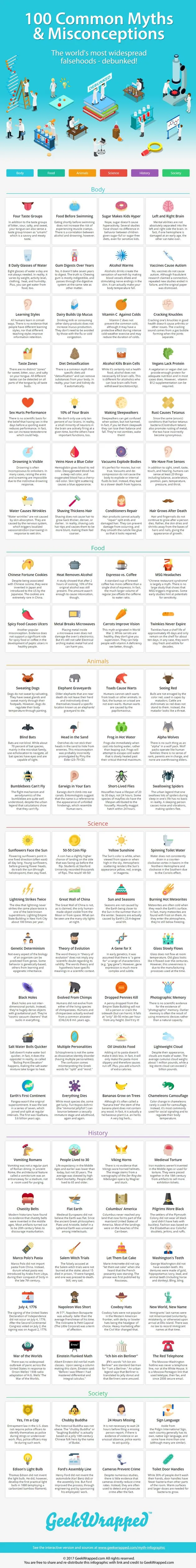 Myths-Misconceptions-Infographic