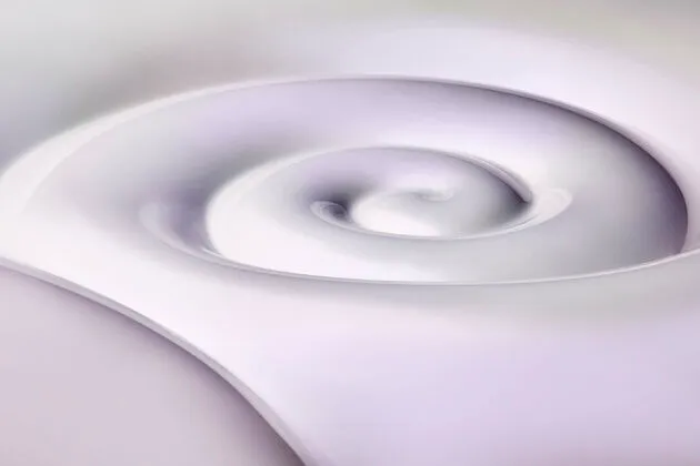 Nautilus-details