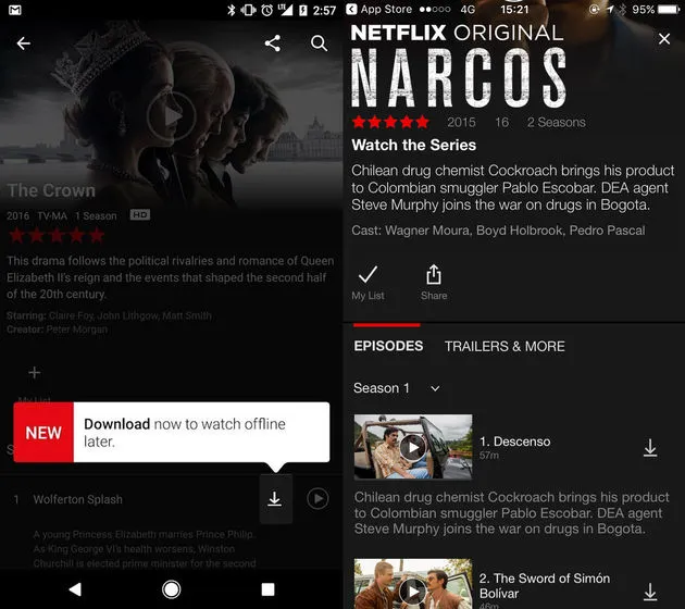De Netflix download button