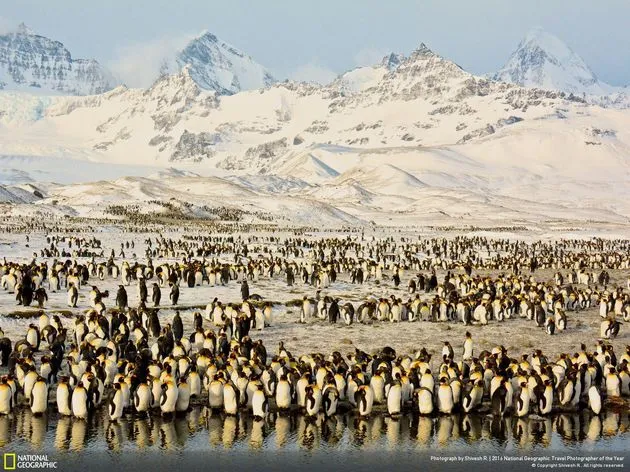<em>Peaks &amp; Penguins in Antarctic Sunrise \/ Photo by Shivesh R.<\/em>