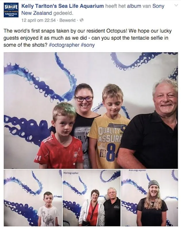 octopus_sony