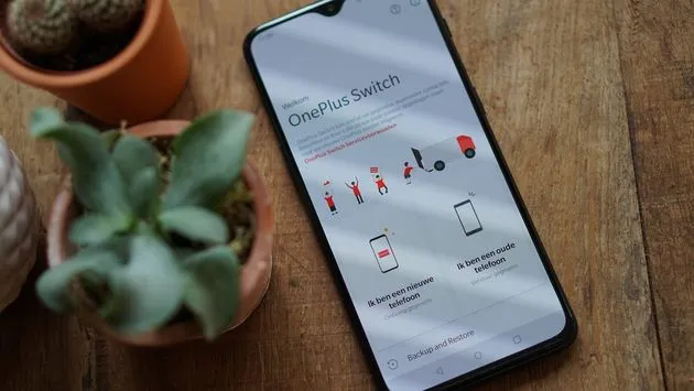 oneplus 6t oneplus switch