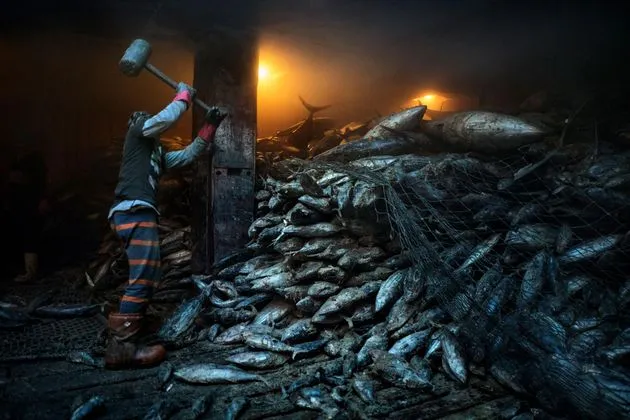 \u00a9 National Geographic. Photo by Adam Dean