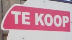 palm-staat-te-koop.jpg