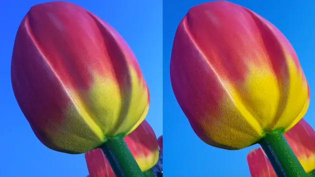 iPhone vs S7
