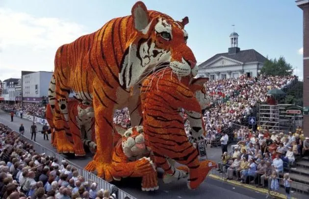 sociale-mediahype-bloemencorso-zundert-b.jpg