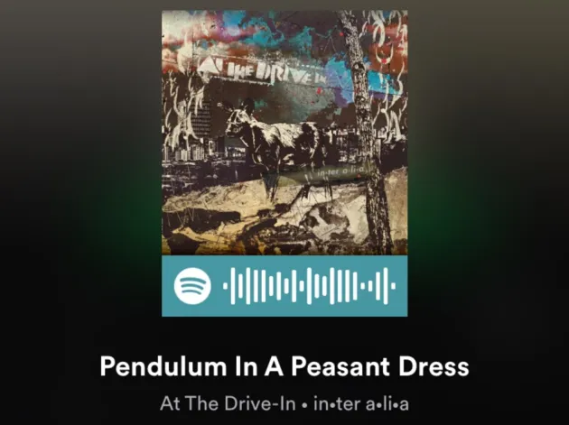 Zo zien de codes er uit als je een nummer op mobiel afspeelt.
