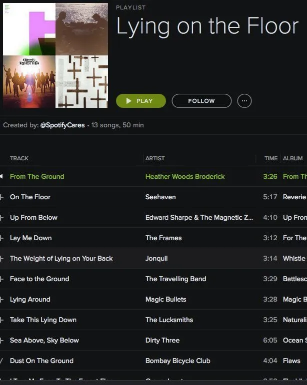 spotify-zeghetmeteenplaylist-04