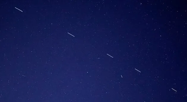 starlink trein