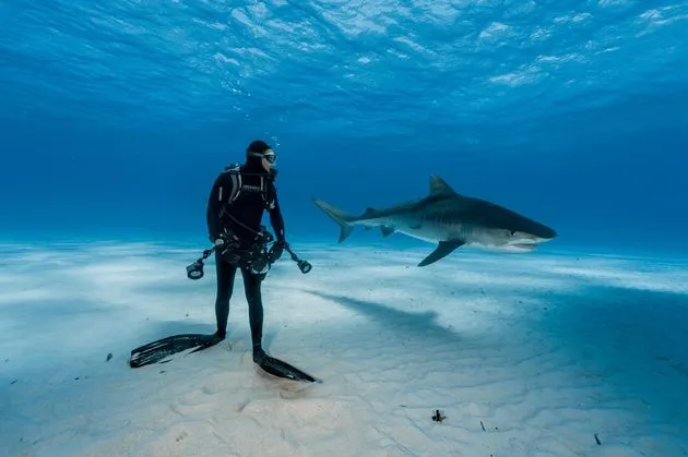 \u00a9 National Geographic. Photo by Brian Skerry.