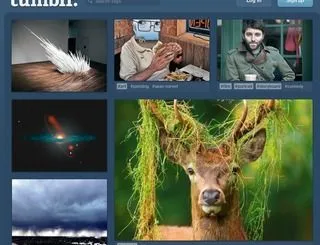 tumblr-wordt-meer-gebruikt-door-tieners-.jpg