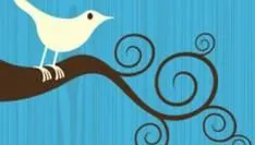 twitter-wil-video-biz-don-t-do-it.jpg