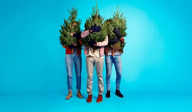 UberTREES