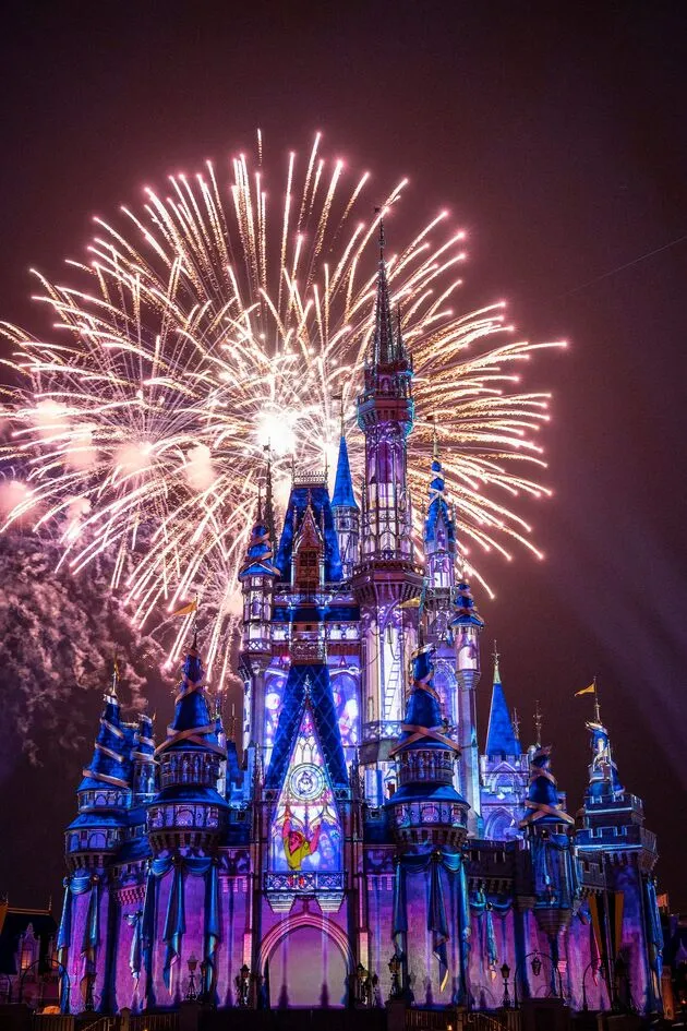 <i>Happily Ever After</i>
