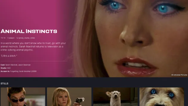 Wat is Nestflix