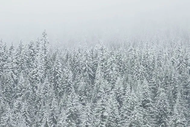 winter