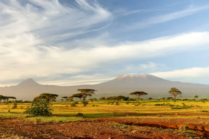 kilimanjaro
