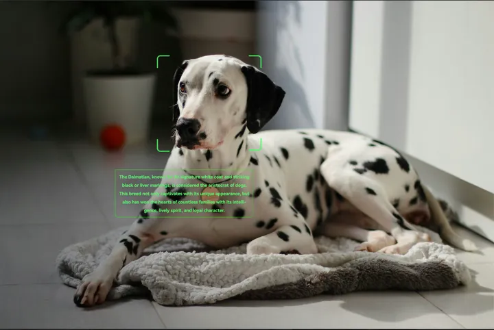 Object Recognization