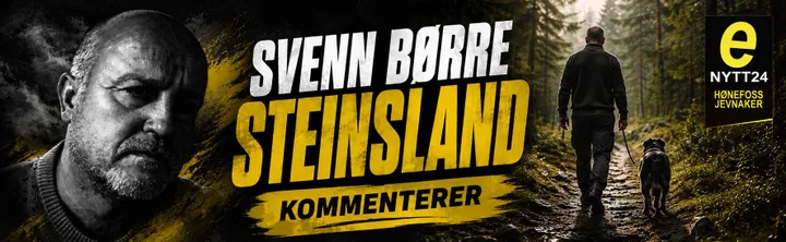 Svenn Børre Kommenterer