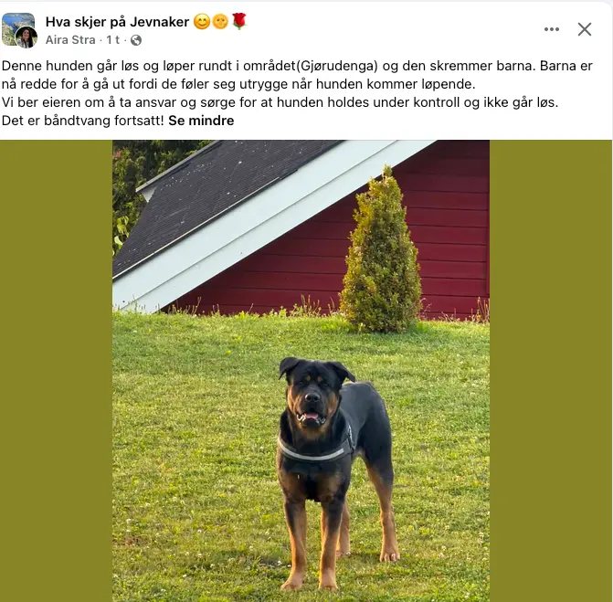 Skjermbilde 2026-08-18 kl. 09.34.59