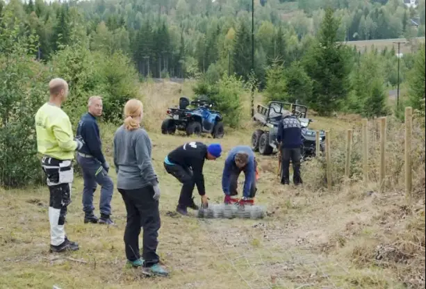 Skjermbilde 2026-09-17 kl. 13.07.50