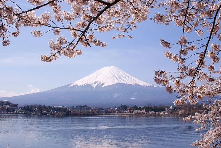 1024px lake kawaguchiko sakura mount fuji 3 1024x685