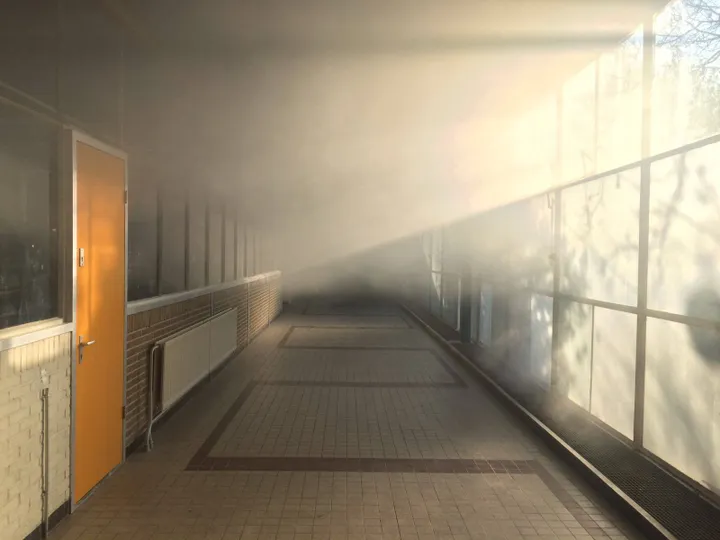 21762350 1105490762914730 6974295617900844031 o