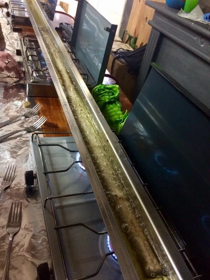 25158142 1538263996222086 4515234349653934880 n