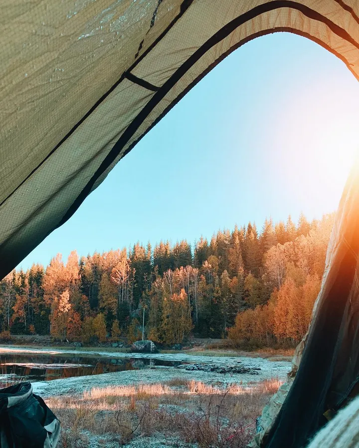 42131764 268419367341625 3776403315510184469 n