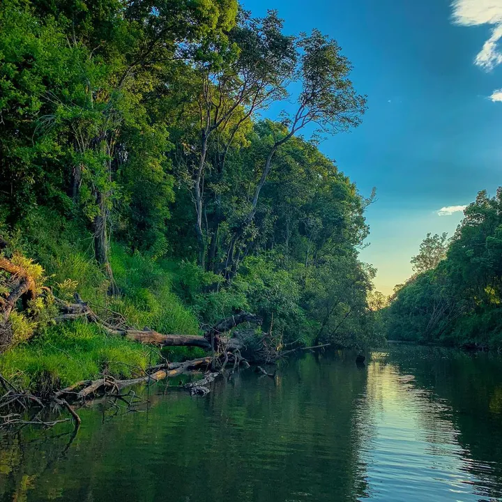 44516111 1510019452477989 2680320894090104777 n