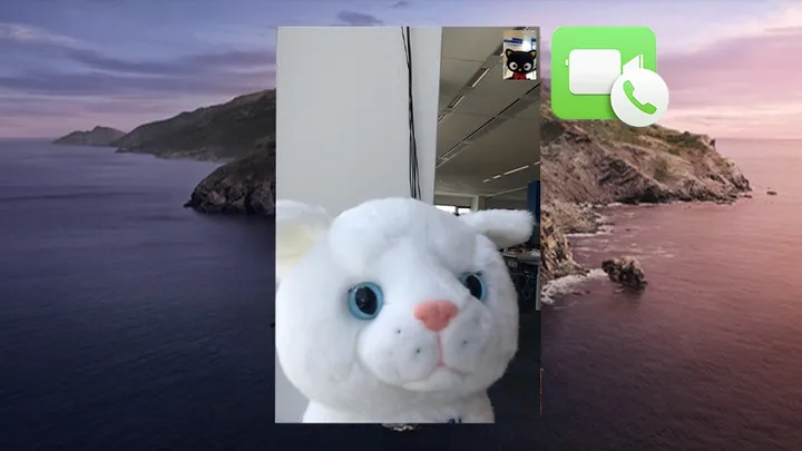 57c84f1c4a943f17c6fa4deef9c3ef97