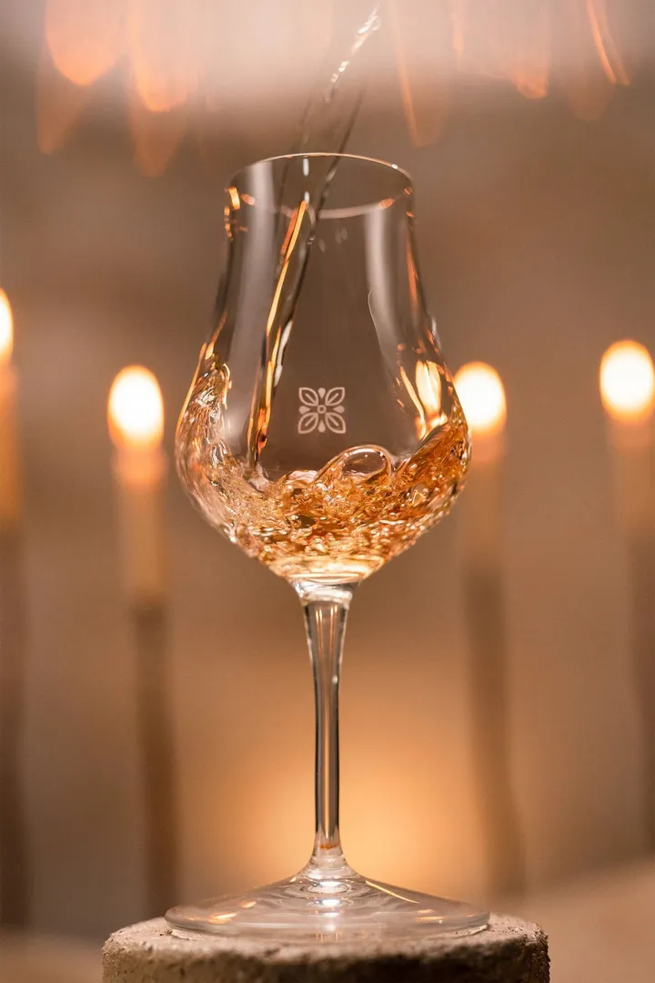 6da72c9a 912a 4e16 83f8 12aabed9494e serve 01 ddm 2023