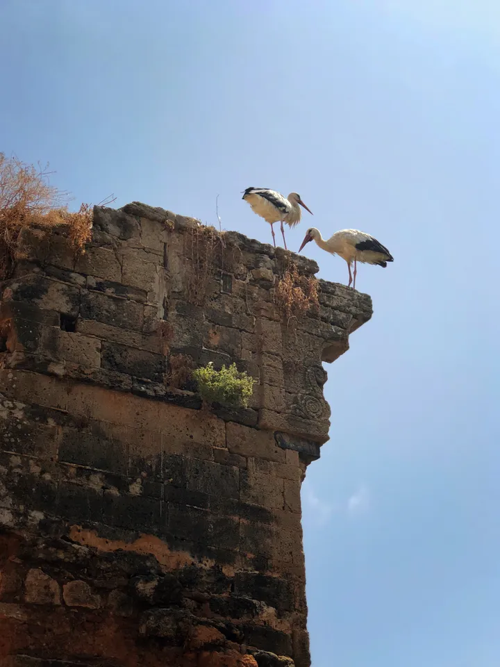 944ca4ab 2cf2 49c0 90ab bcbf58590049