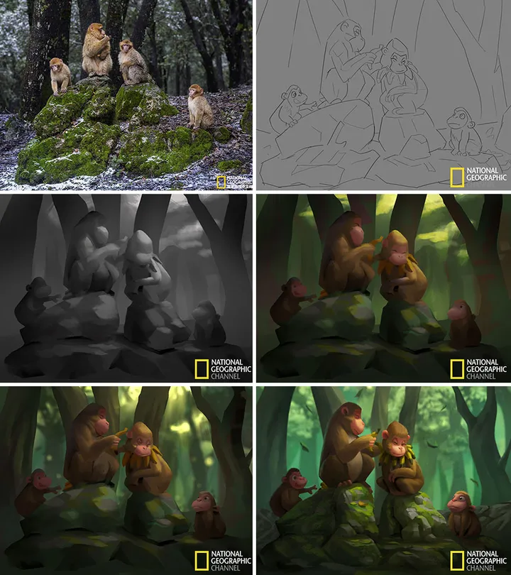 artist transforms national geographic photographs into adorable illustrations 5b3de2cfe5e7f 880