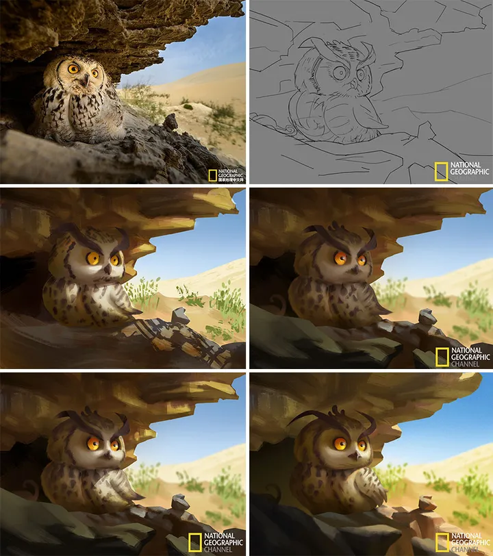 artist transforms national geographic photographs into adorable illustrations 5b3de2daa2413 880