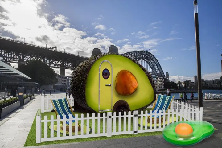 avo 1024x682
