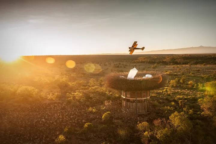 birds nest safari hotel kenya 04