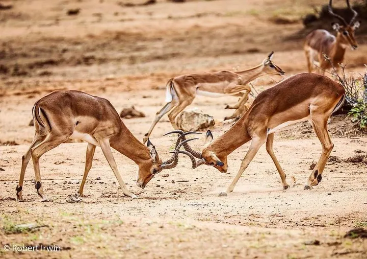 bpmo8qyamng 1 png 880