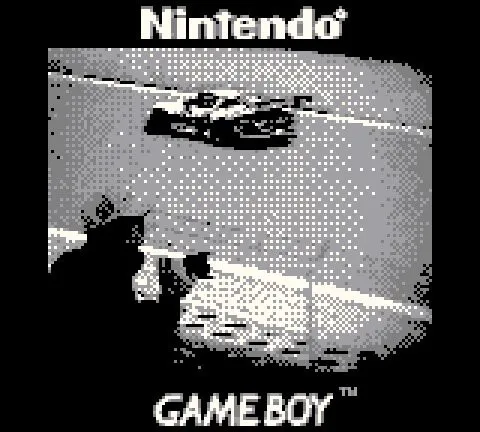 chup anh bang gameboy camera 3