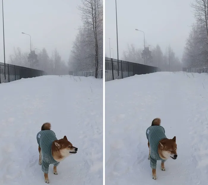 cold in russia 2020 21 5feee88054fe7 700