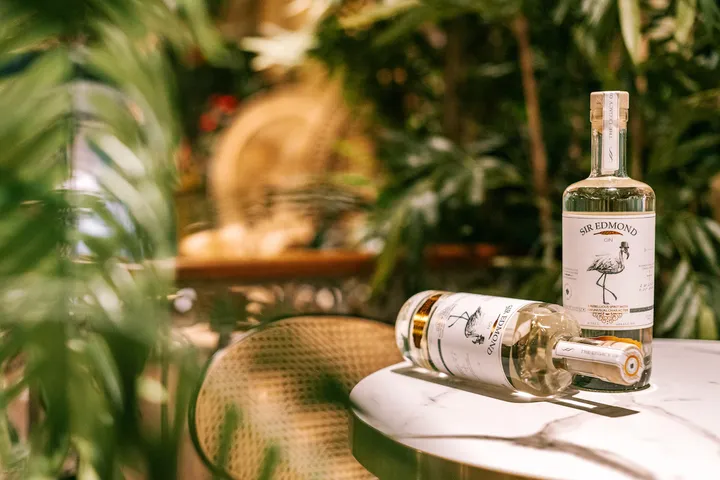 cover press release sir edmond gin photo 1