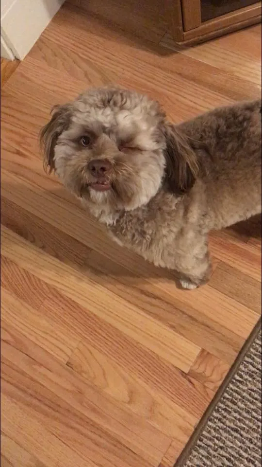 d57856a45aa7f11dd9bce8267159b645