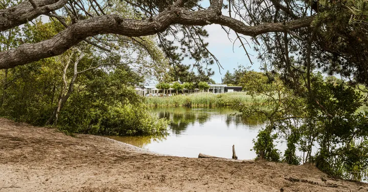 de bokkedoorns fhm 12