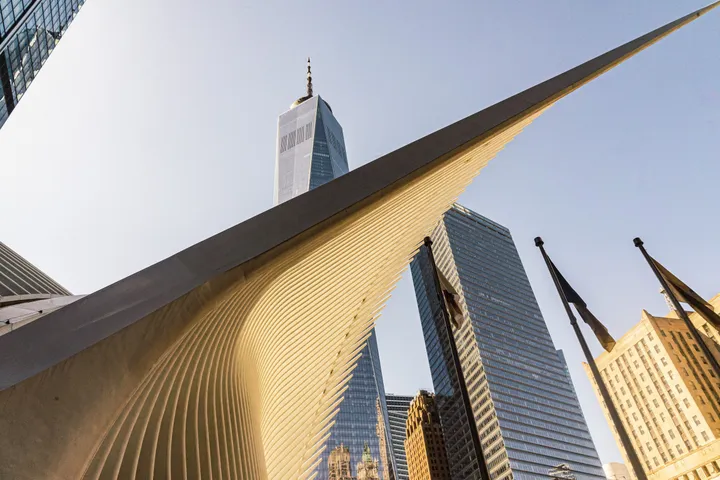 dsc06578 kopie2 kopie scaled