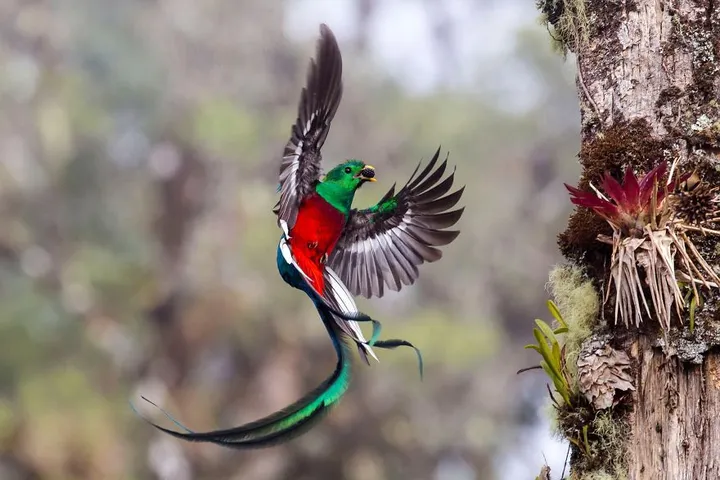 finalists wildlife photographer of the year 2017 3 59ba295d19842 880