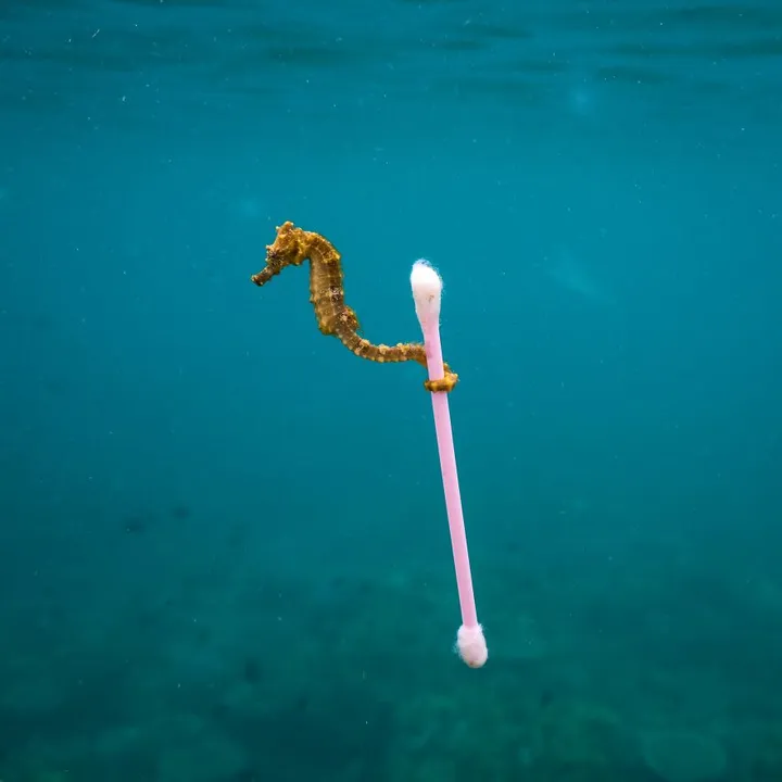 finalists wildlife photographer of the year 2017 8 59ba294270cb7 880